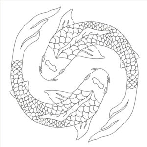 zeichnung_koi